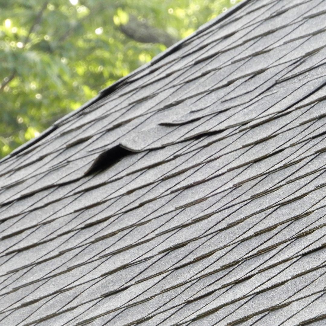 Damaged shingles