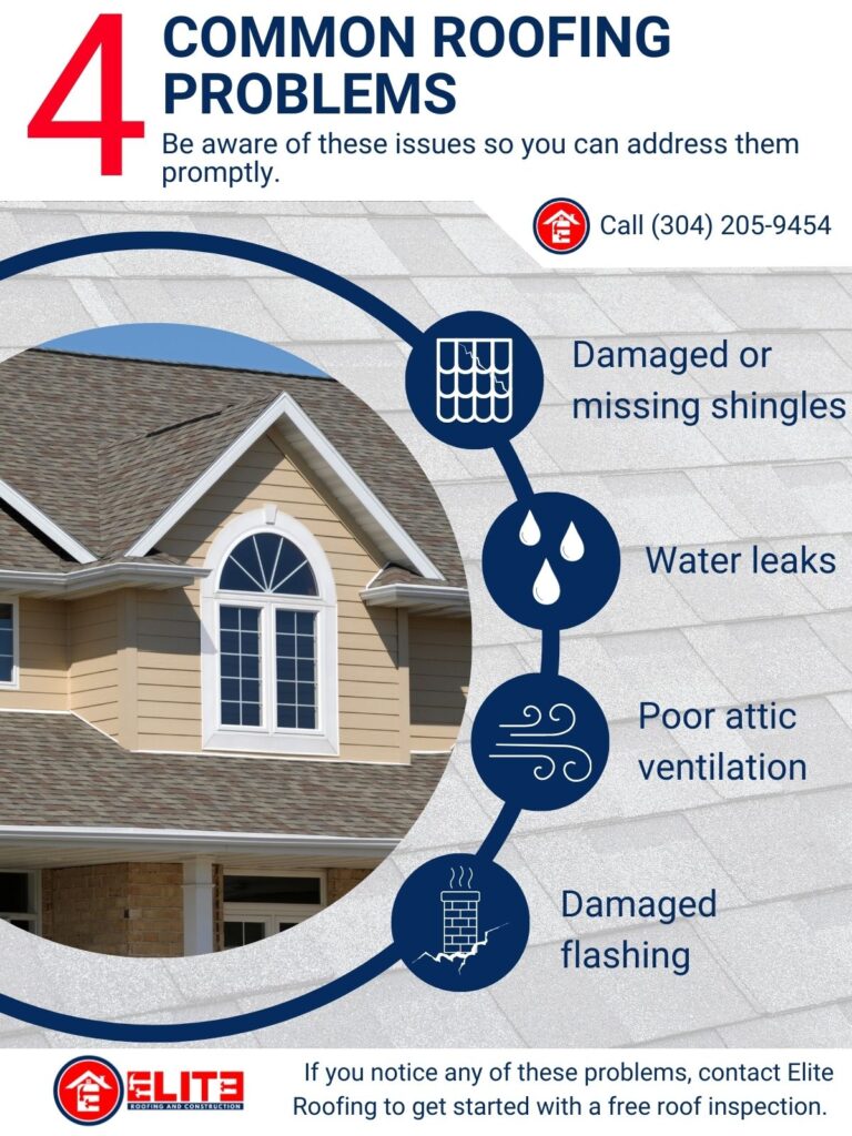 4 Common Roofing Problems infographic