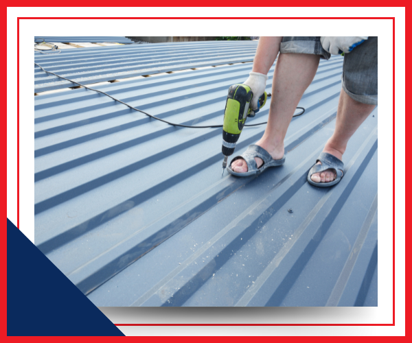 Warranty and Maintenance