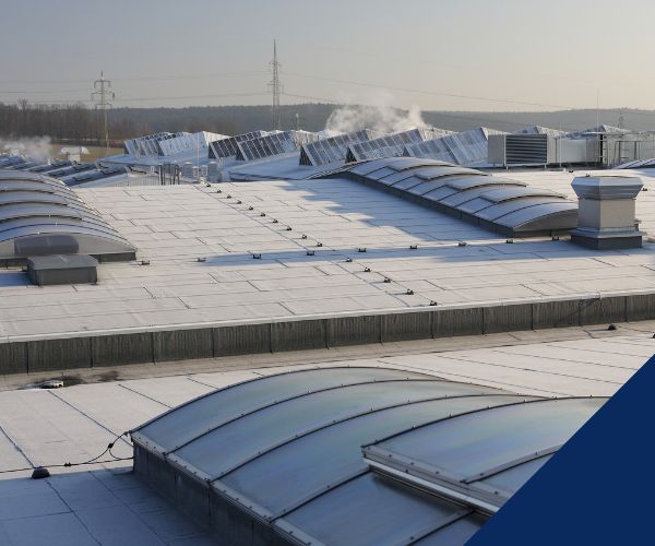 TPO roof on commercial roof