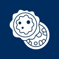 Roof Replacement-Morgantown_Icon-6